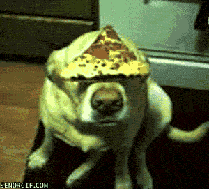 Dog Eating Pizza